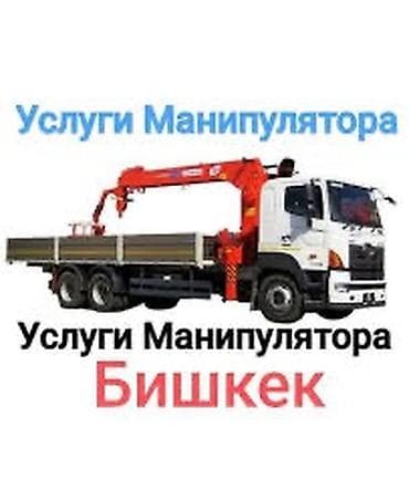Стрела 10 м, 3500 т, Борт 8000 кг