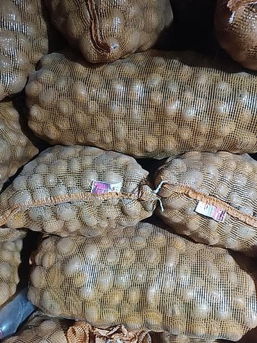 оптом помидоры: Картошка Оптом — 1