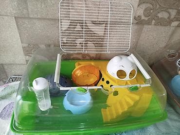 3д сетки: Клетка . террариум . в отличном состоянии размеры : длина 53 ширина — 7