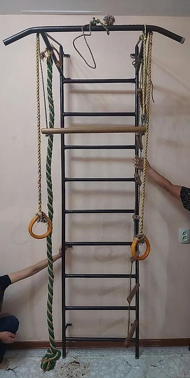 бойцовская груша: Домашний спортивный комплекс (шведская стенка) с навесным — 1