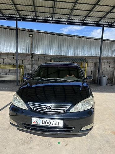 продам кару: Toyota Camry: 2004 г., 3 л, Автомат, Газ, Седан — 8