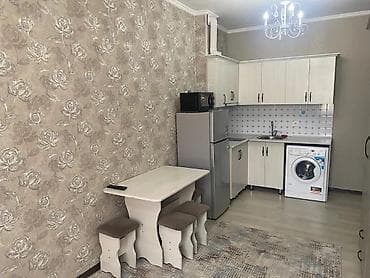 мини кредит: Студия, 27 м², Индивидуалка, 1 этаж, Евроремонт — 5