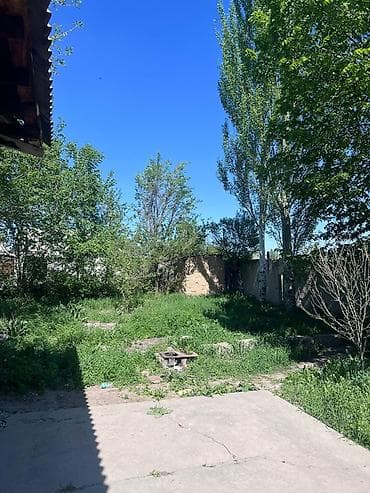 восток 5 сдаю: 36 м², 3 комнаты — 5