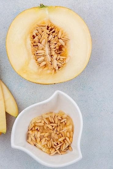 семена экспарцеп: Семена овощей: Огурцы, Самовывоз — 4