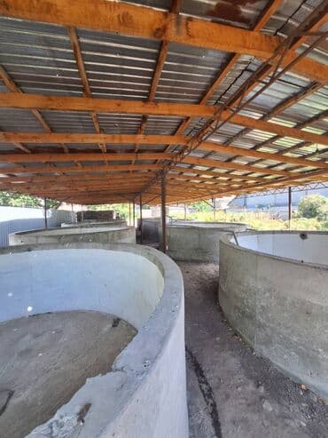 сокулук дом участок: 16 соток — 8