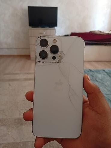 IPhone 13 Pro Max, 256 ГБ, цвет серебристый (модель MLF93LL/A) — 3