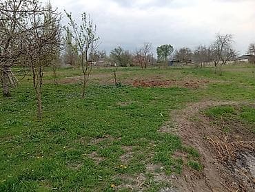 ремонт домов: Дом с приусадебным участком и хозяйственными постройками. - — 4