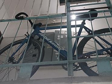 Музыкальные инструменты: Городской велосипед, Рама L (172 - 185 см), Новый — 2