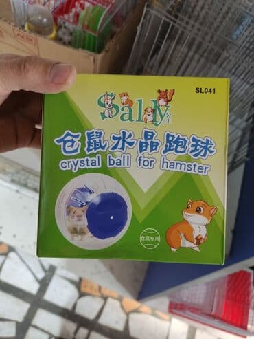 летучая мышь в кыргызстане: Хамички джунгарские! — 2