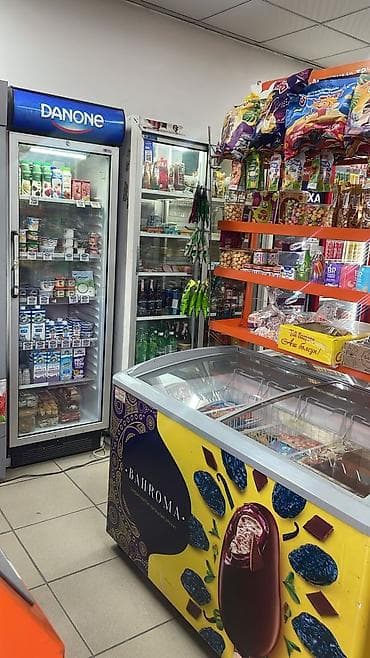 Үйлөр: Продаю 2 дома на одном участке с действующим бизнесом, первая линия — 5