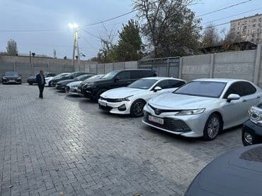 ауди с4 чехол: Kia K5: 2019 г., 2 л, Автомат, Газ, Седан — 6