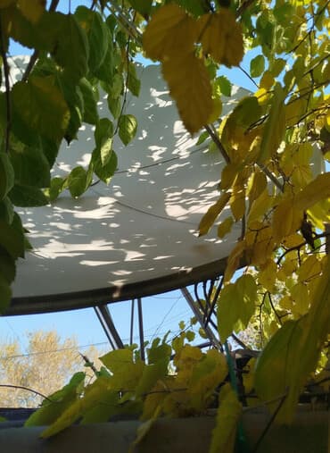 полевой насос: Продаю Б/у Мощный насос для выкачивания бассейна, бидон 20л — 1