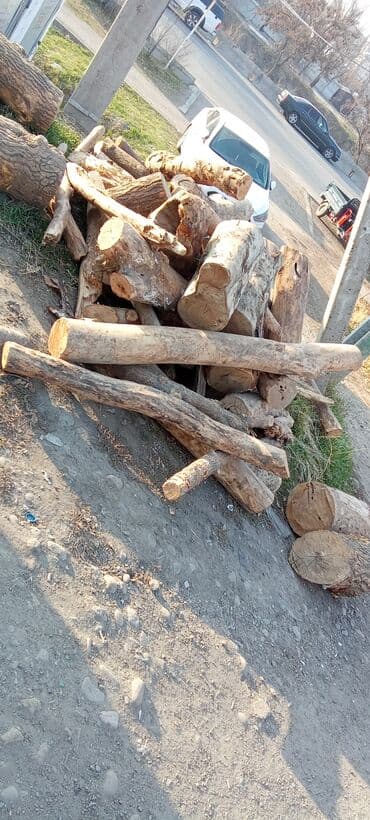 уголь для мангала оптом: Дрова — 1