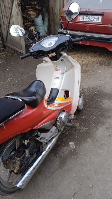 диски на форд фокус 1: Скутер/мопед Daelim (стикеры Daelim на облицовке), дорожного типа — 1