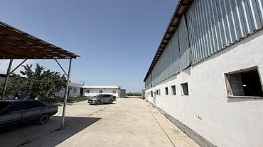 с хранения: Кошара, 60 соток — 1