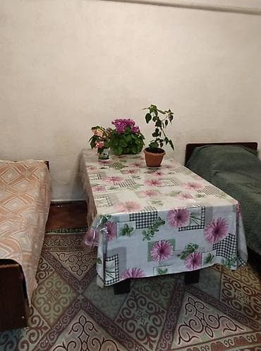 продать брейнрот: Кымызолечение в Чон Кемине 5 разовое кобылье молоко 3 разовое — 8