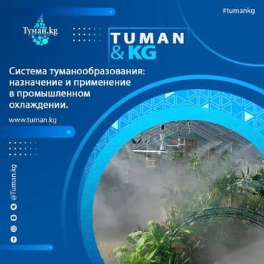 холодильник для вода: 🌫️ Что такое система туманообразования и для чего она нужна в — 1