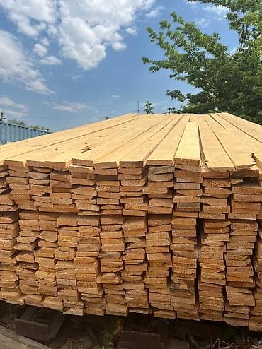 лыжи бишкек: Лес — 7