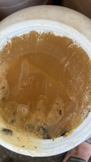 дубайский шоколад цена в бишкеке: Токтогулдун Сары май.топленое масло натуральный л 1000 сом в Кара — 11