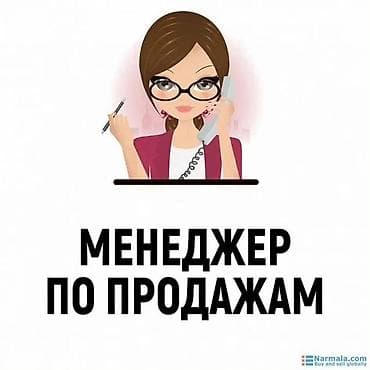 ness construction: Требуется Менеджер по продажам, График: Пятидневка, Удаленная работа, Обучение — 1