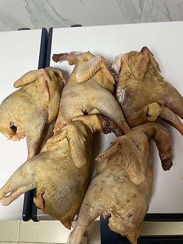 Домашние тушки Курей (потрошёные, кормленные на кукурузе 600 сом за 1