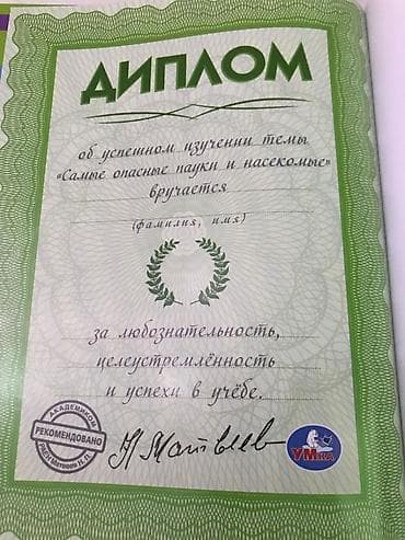 alien stage: Энциклопедия с развивающими заданиями «Самые опасные пауки и — 3