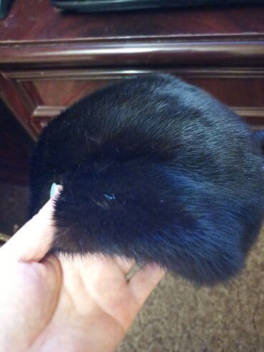 шапка с ушками которые поднимаются купить: Продаю норковую шапку в хорошем состоянии. Всё вопросы по телефону — 1