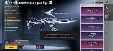Красота и здоровье: Игровой аккаунт PUBG MOBILE Содержимое и особенности: - Регион — 4
