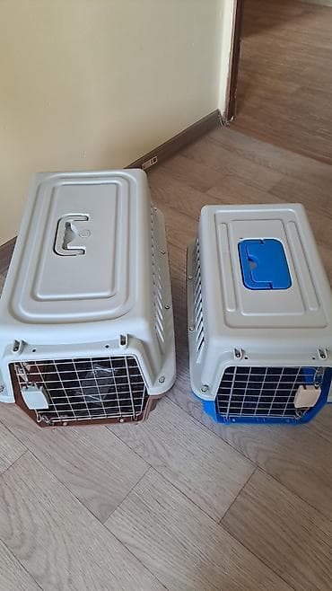 отдам в добрые руки кошку: Переноски для животных (кошек, мелких собак, кроликов) - Материал — 4