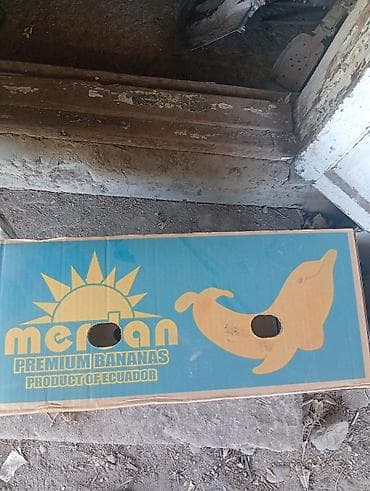 Ящик at lalafo.kg Ящик