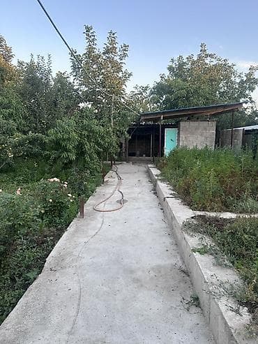 Кыймылсыз мүлк: Плодовый сад и дом для большой семьи с многообразием культур — 5