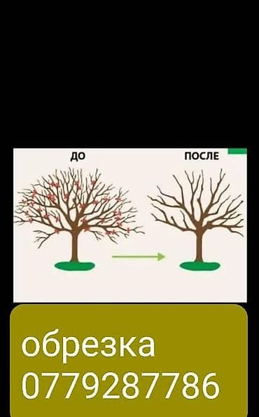 Отун: Отун — 1