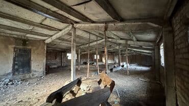 продажа дома в токмаке: Сдаю в аренду производственное помещение или кошару 280 м2., без — 7