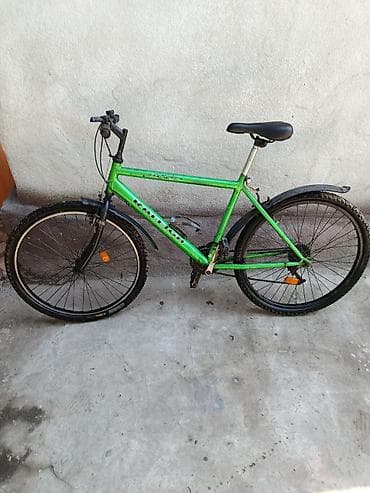 raleigh: Горный велосипед, Сталь — 3