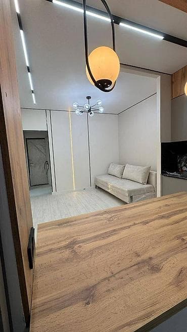 ts group: 1 комната, 25 м², 106 серия улучшенная, 1 этаж, Евроремонт — 7