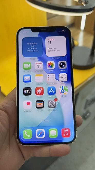 another 13: IPhone 12 Pro Max, Б/у, 256 ГБ, 100 % — 10