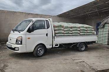 Сейфтер: Цемент цемент цемент цемент цемент цемент цемент цемент цемент цемент — 1