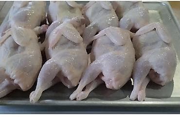 Мёд: Находимся в Бишкеке ! Мясо и яйца Перепелок Вес тушки от 200 гр и — 7