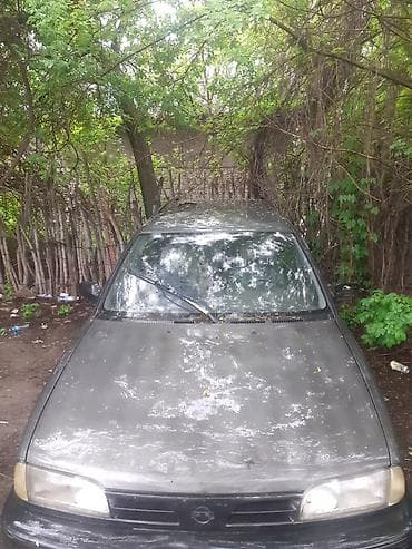 bmw e30: Nissan Primera: 1996 г. — 1