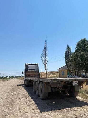 sprinter bazar: Тягач, Volvo, 2002 г., Бортовой — 3