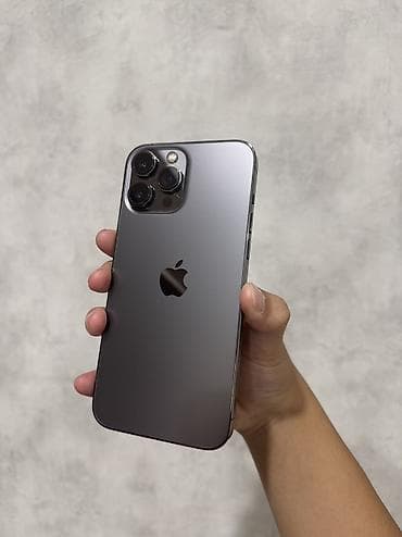 IPhone 13 Pro Max, Б/у, 256 ГБ, Графит, Защитное стекло, Коробка, 83 %