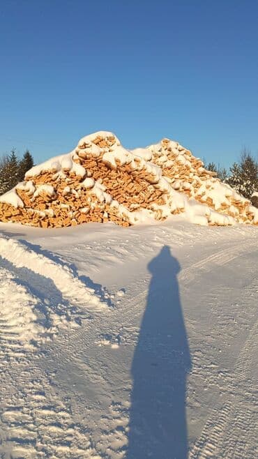 МДФ: Лес Балка — 1