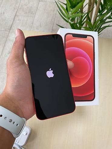 iphone 8s plus: IPhone 12, Красный, Коробка — 2