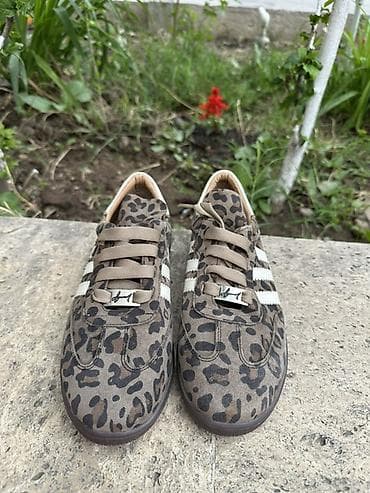 adidas campus: Кроссовки, 36.5, Adidas, Новый, цвет - Бежевый, Самовывоз — 3