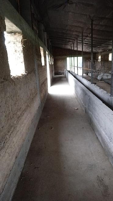 usman stroy: Сокмо дубалдан пакса жана кам кирпичтен уй жана малга — 3