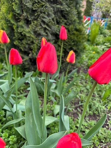 письменные столы бишкек: Самовывоз — 2