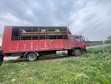 Mercedes-Benz : 1991 г., 6 л, Механика, Дизель — 3