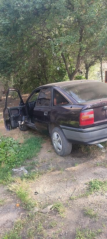 купить запчасти на опель вектра б: Opel Vectra: 1992 г., 1.8 л, Механика, Бензин, Хэтчбэк — 2