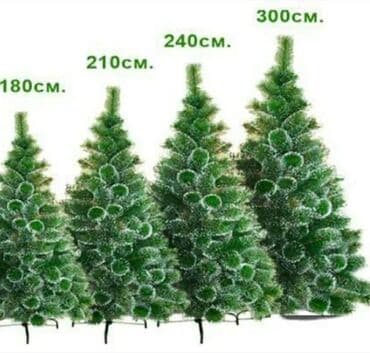 Новогодние ёлки at lalafo.kg Новогодние ёлки