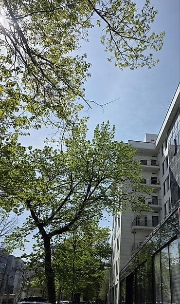 аренда гараж: Парковка в аренду (Жогорку Кенеш напротив) в современном деловом — 1